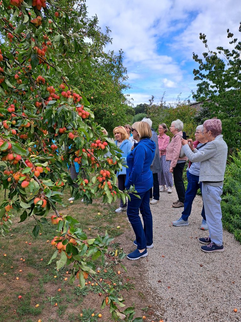 Norton Conyers August 2025